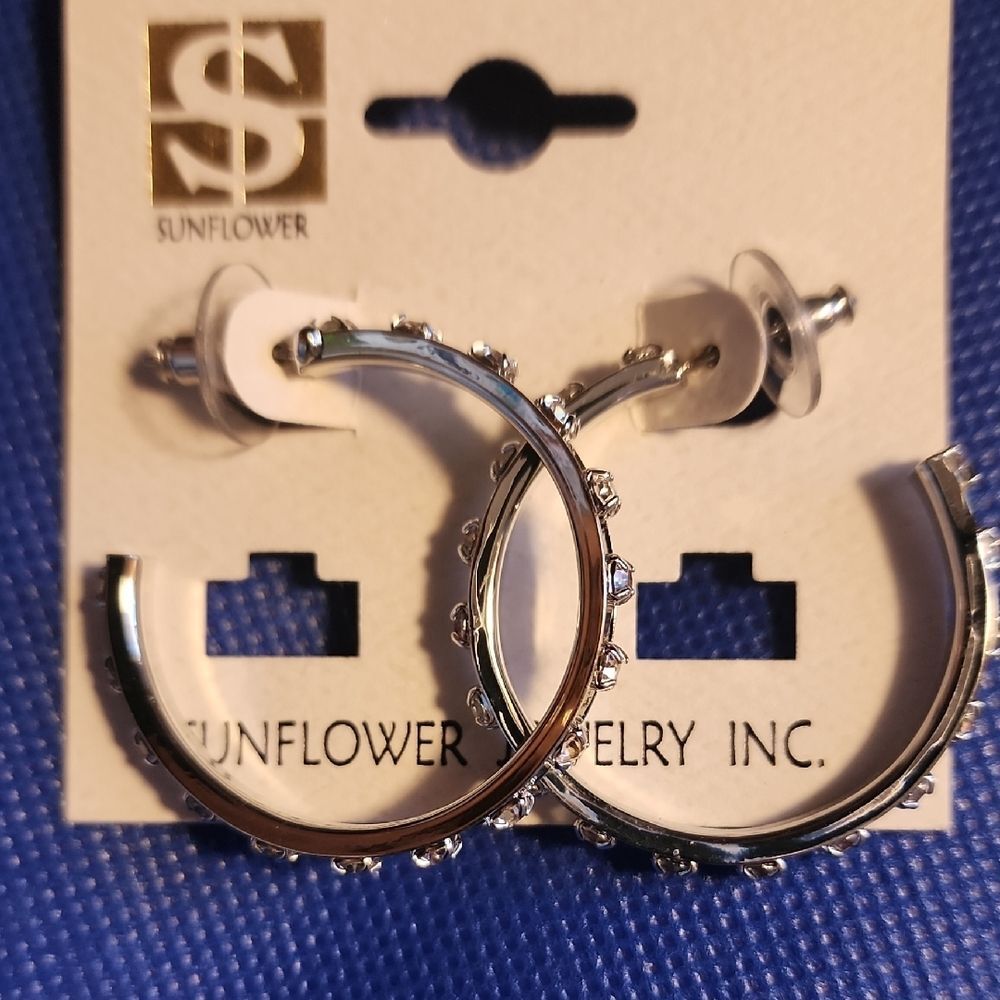 Silver Toned Studded Hoop Earrings With Faux Rhinestones